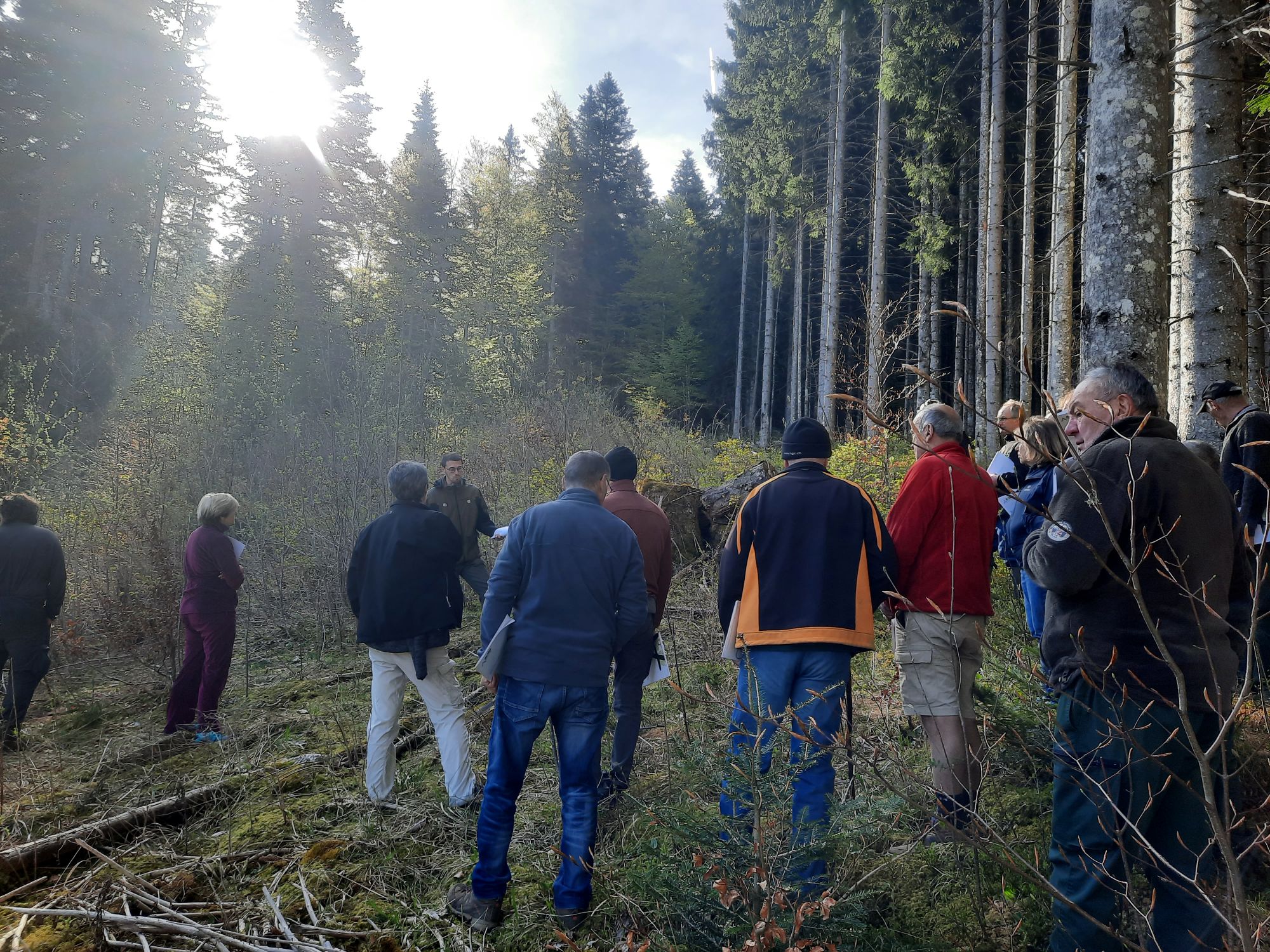 Photo d'un groupe de participant à vulgarisation ADEFOR39 en forêt